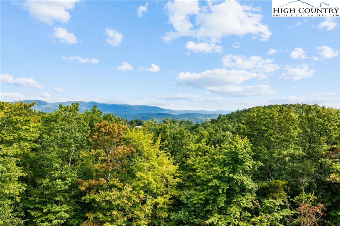 367 Calico Court Boone, NC 28607 - Photo 46 of 50