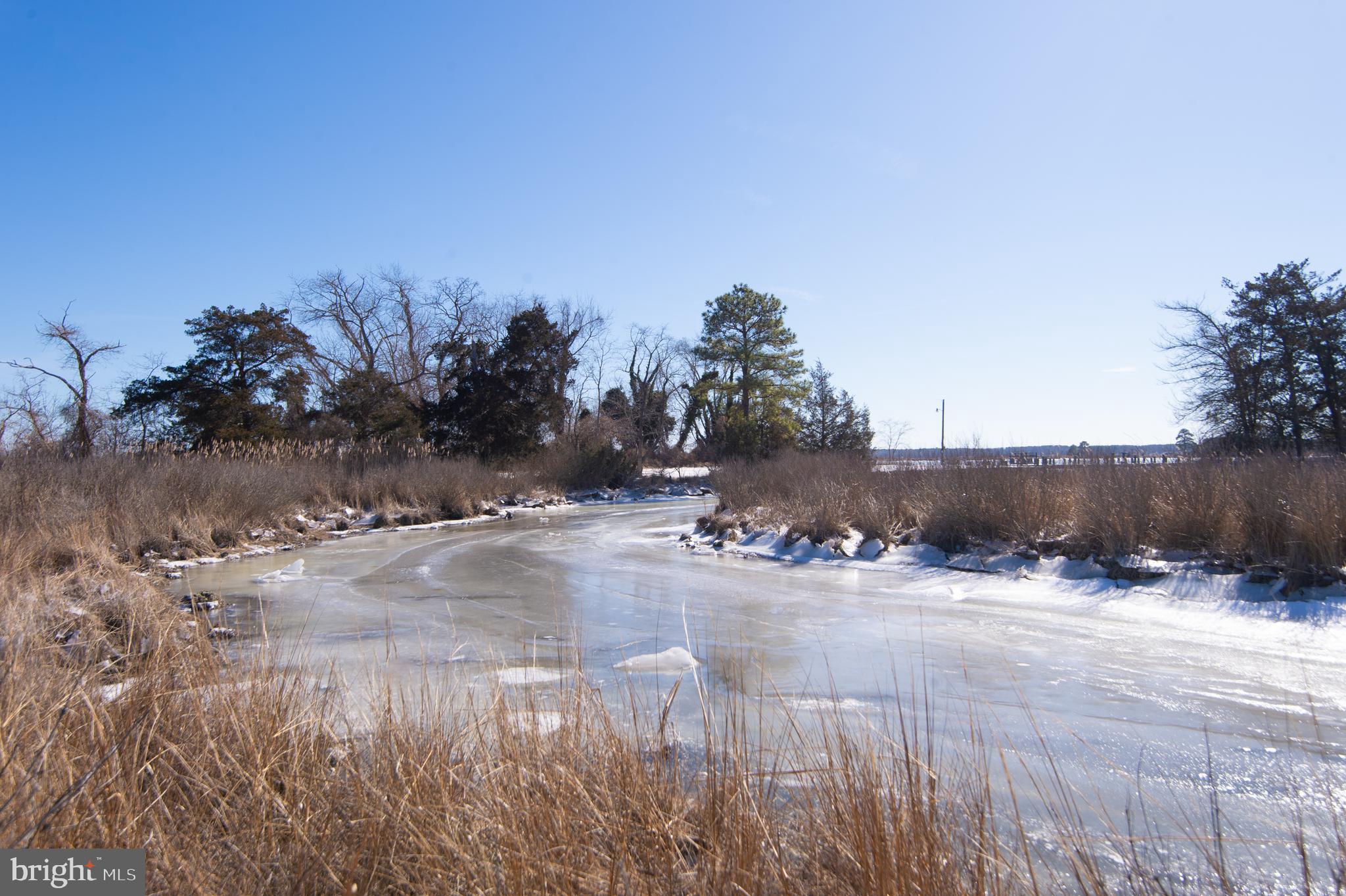 5210 Wilson Road Cambridge, MD 21613 - Photo 66 of 80