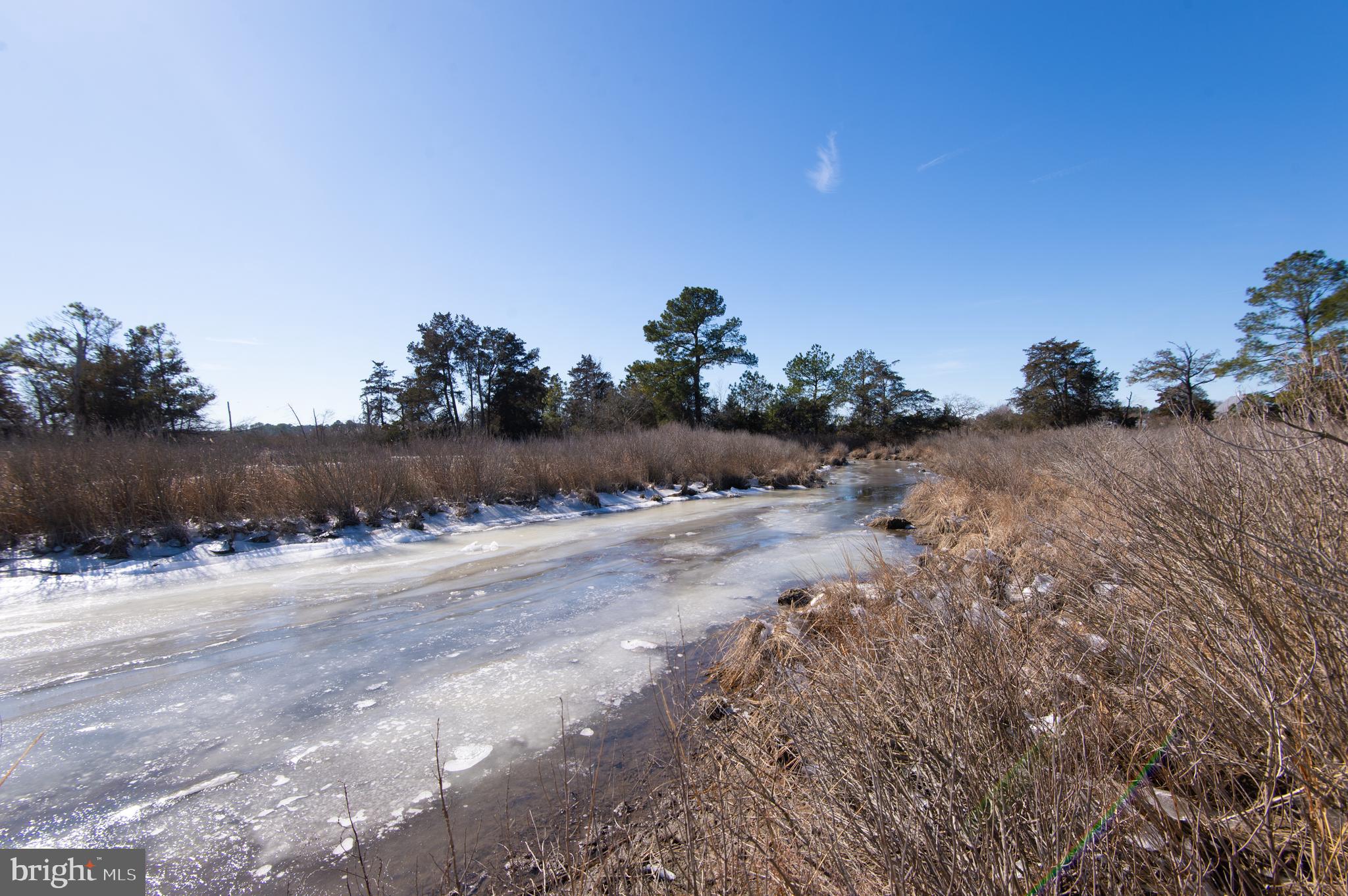 5210 Wilson Road Cambridge, MD 21613 - Photo 67 of 80