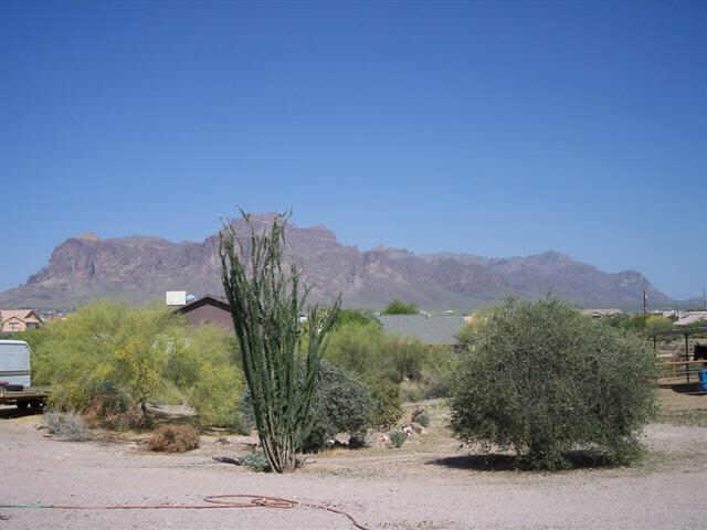 1235 North Cortez Road Apache Junction, AZ 85119 - Photo 2 of 6 Additional Photo