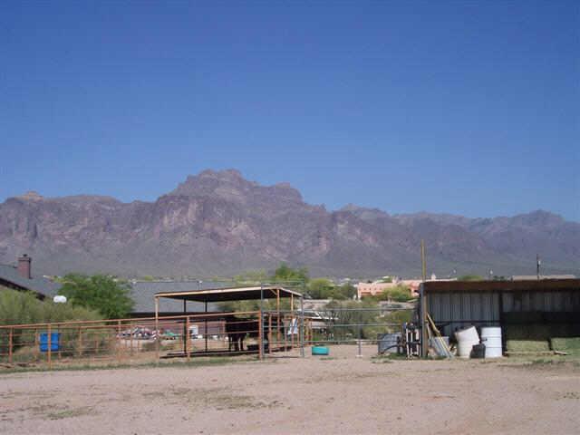1235 North Cortez Road Apache Junction, AZ 85119 - Photo 3 of 6 Additional Photo