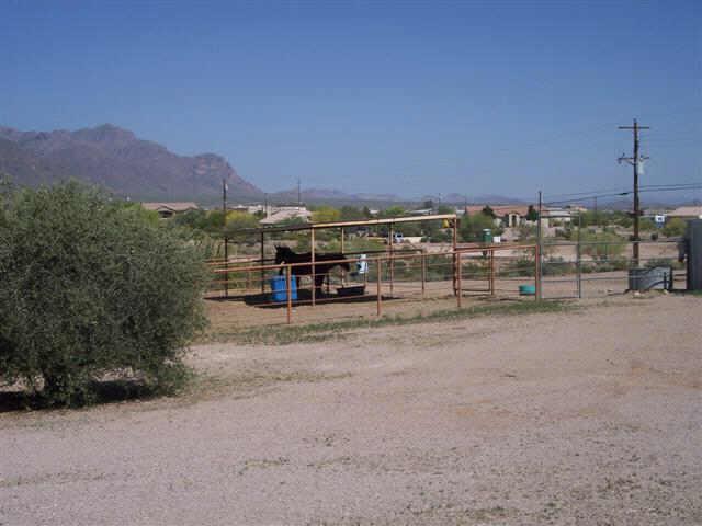 1235 North Cortez Road Apache Junction, AZ 85119 - Photo 4 of 6 Additional Photo