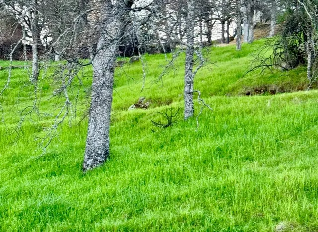 $23,000 | 4822 Bayview Drive, Copperopolis, CA 95228