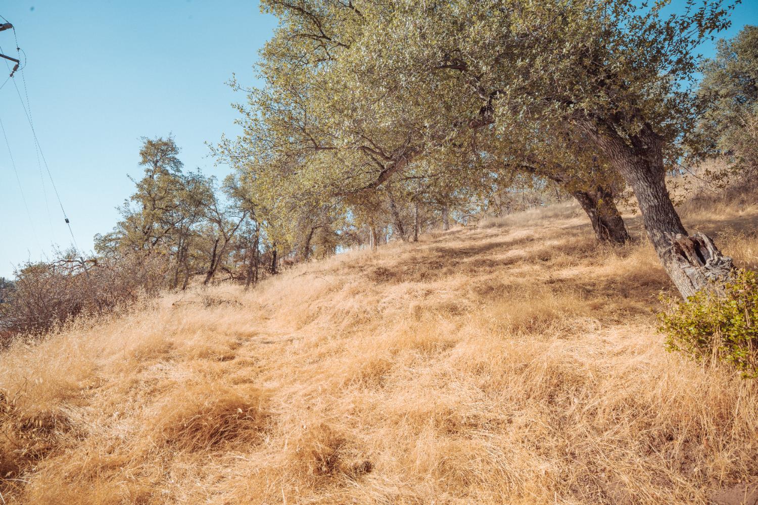 4822 Bayview Drive Copperopolis, CA 95228 - Photo 19 of 45 a view of empty yard
