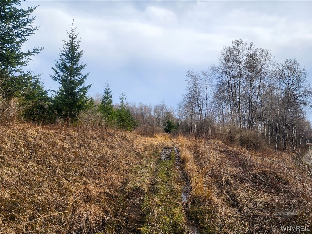 0 Quigg Hollow Road Andover, NY 14806 - Photo 16 of 19