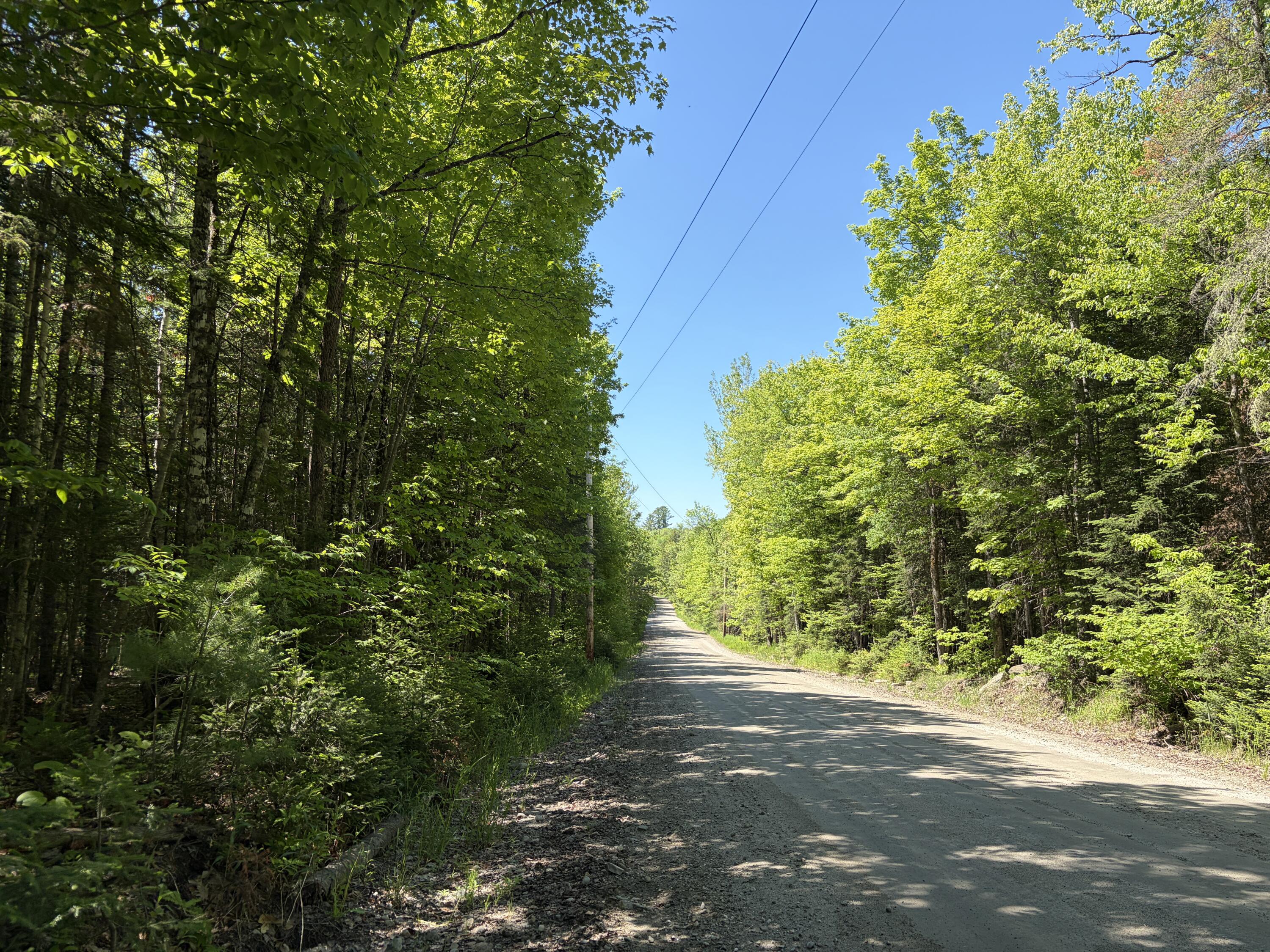Lot 1 Holley Road Farmington, ME 04938 - Photo 10 of 12 IMG_7972