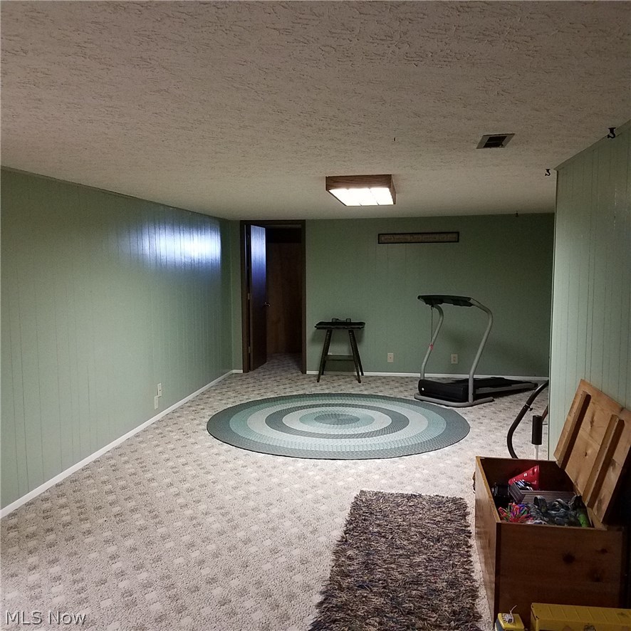 8826 Angling Road Wooster, OH 44691 - Photo 17 of 30 41x14 Rec Room