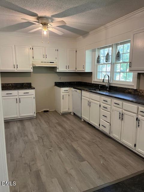 6663 Harold Obrien Road Oxford, NC 27565 - Photo 16 of 41 a kitchen with granite countertop white cabinets white appliances a sink and a window
