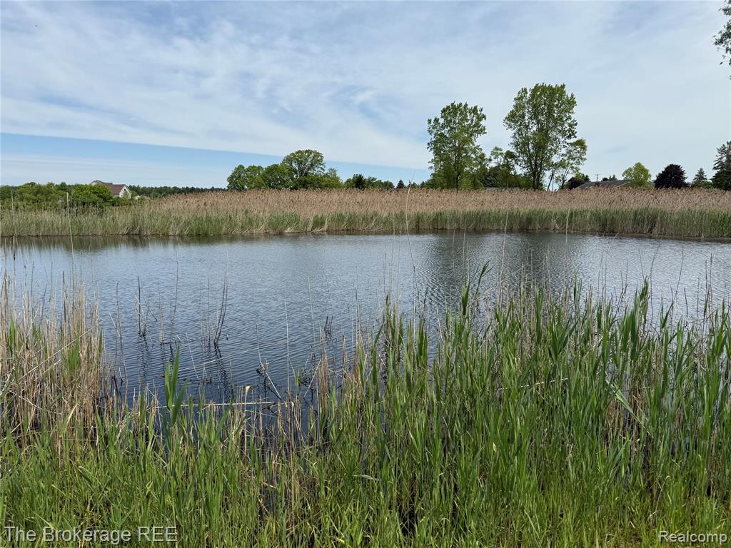 3020 Merwin Road Lapeer, MI 48446 - Photo 14 of 33