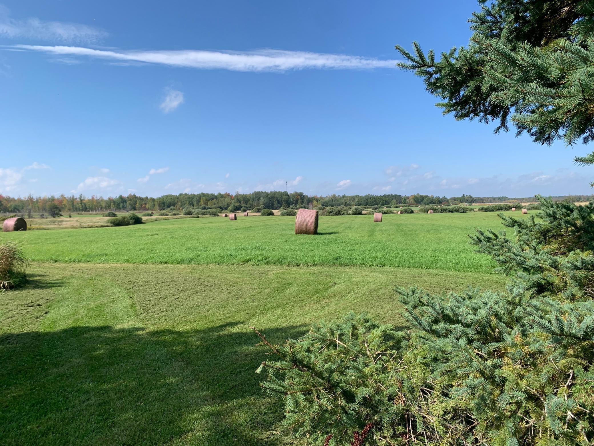 14331 395th Lane McGregor, MN 55760 - Photo 11 of 81