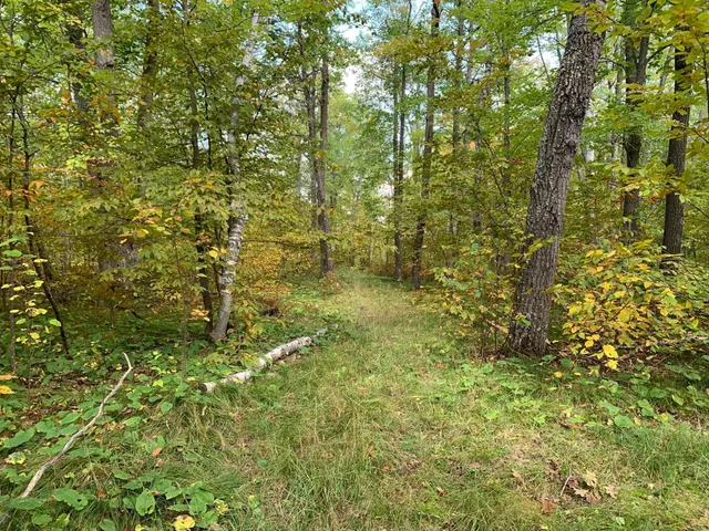 $453,200 | 14331 395th Lane, McGregor, MN 55760