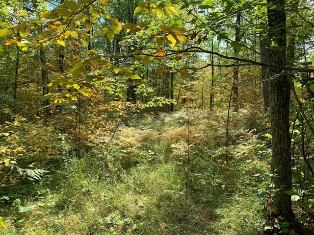 $453,200 | 14331 395th Lane, McGregor, MN 55760