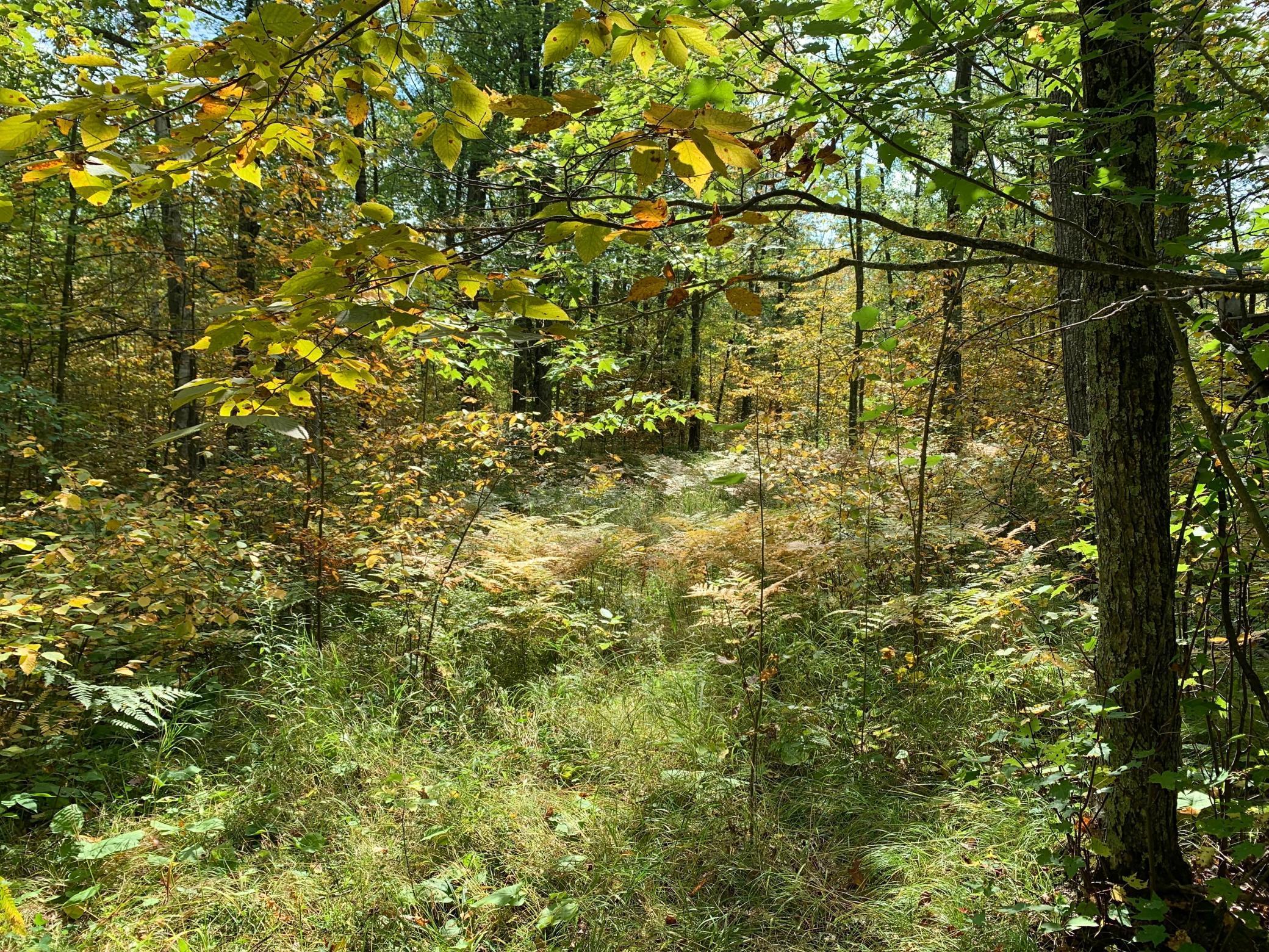 14331 395th Lane McGregor, MN 55760 - Photo 14 of 81