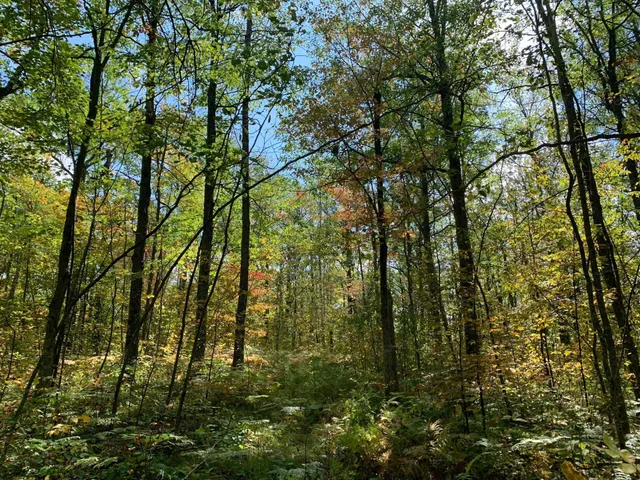 $453,200 | 14331 395th Lane, McGregor, MN 55760