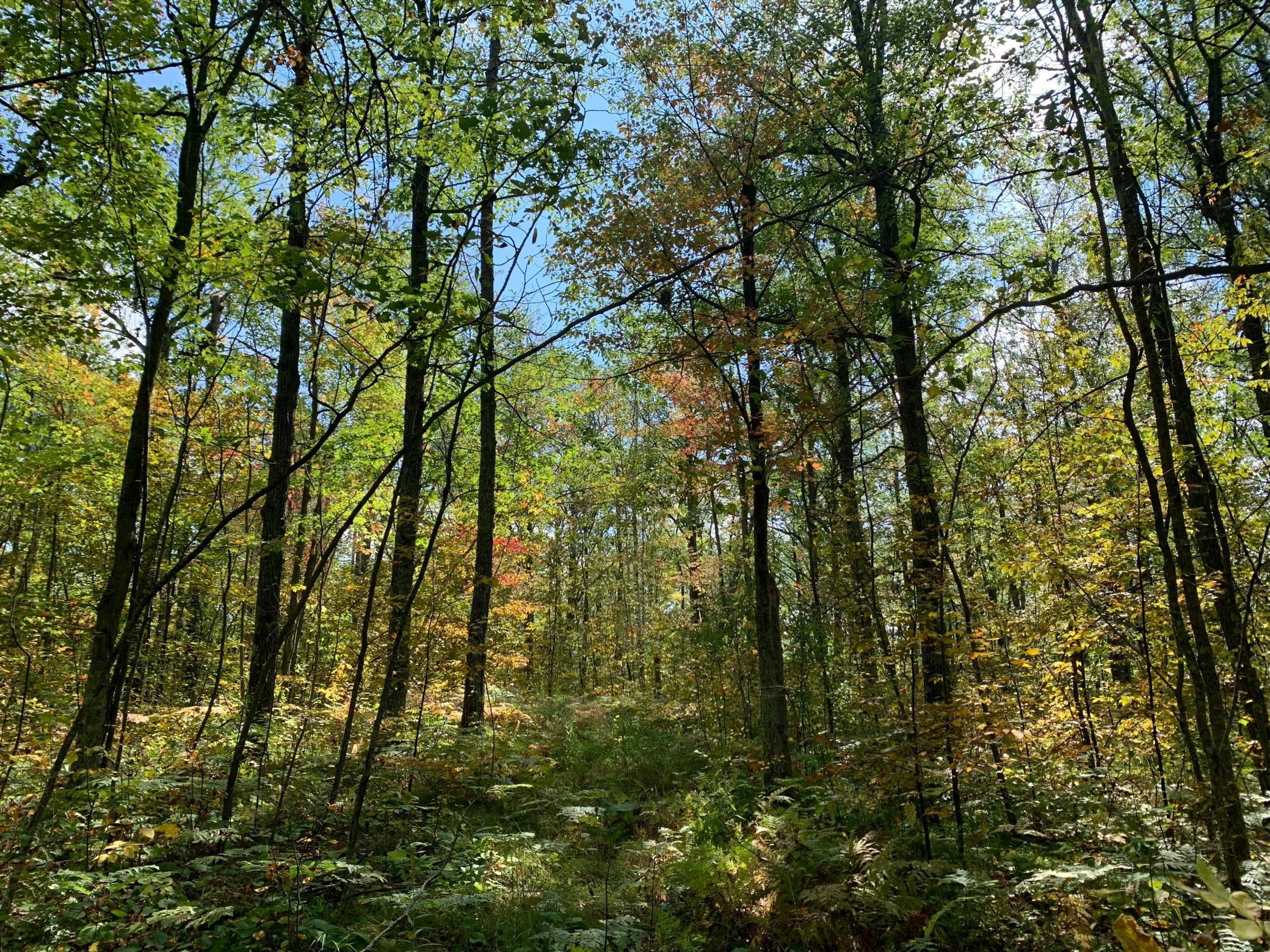 14331 395th Lane McGregor, MN 55760 - Photo 15 of 81