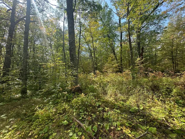 $453,200 | 14331 395th Lane, McGregor, MN 55760