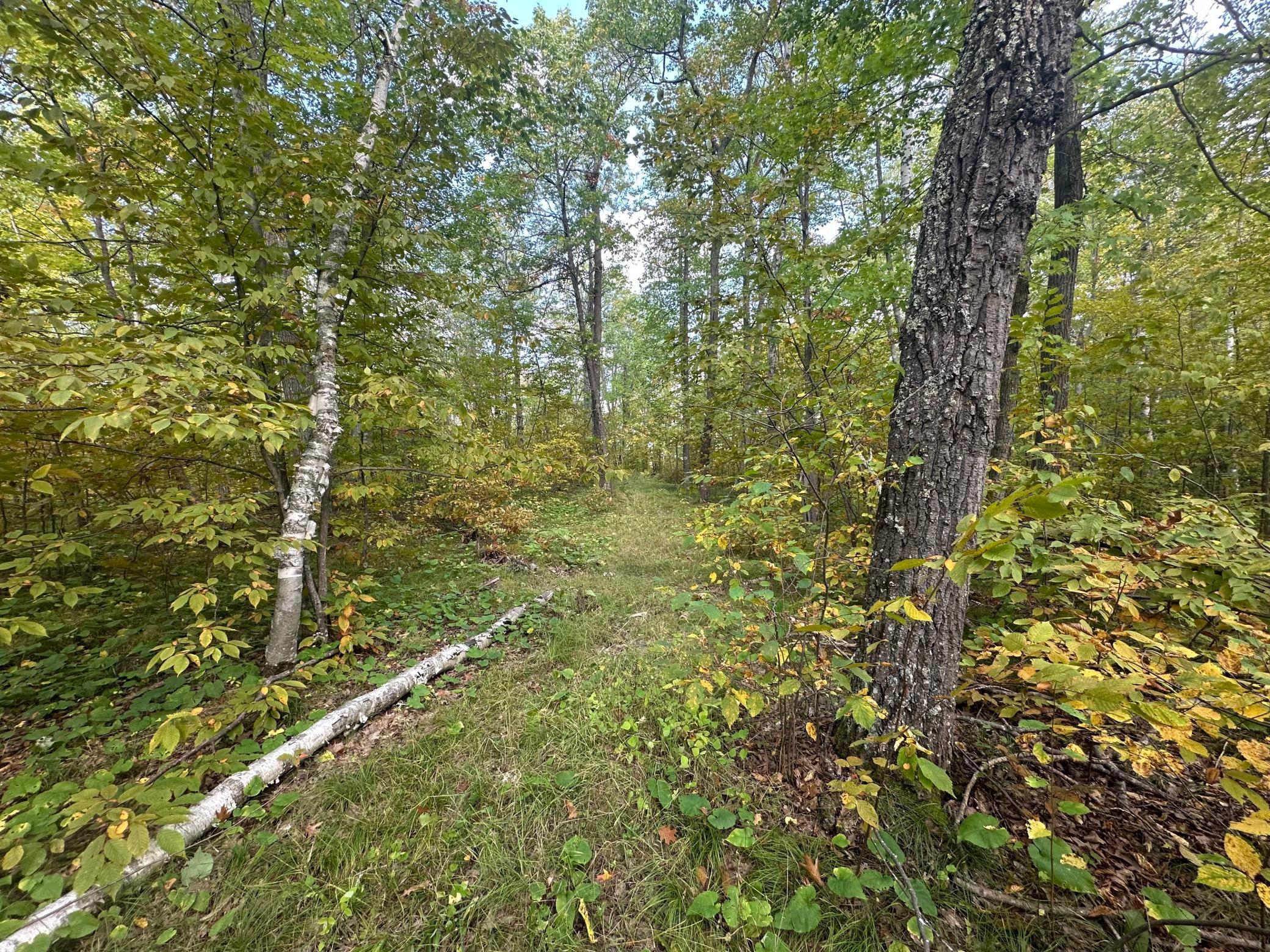 14331 395th Lane McGregor, MN 55760 - Photo 19 of 81