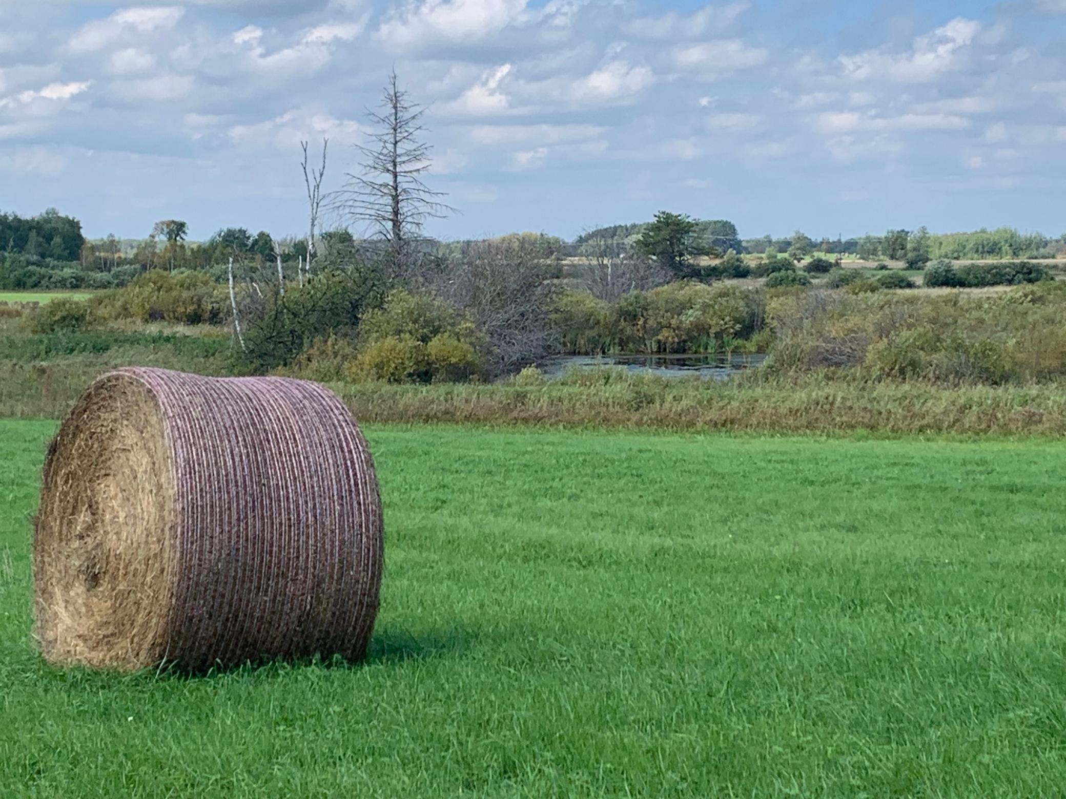 14331 395th Lane McGregor, MN 55760 - Photo 20 of 81