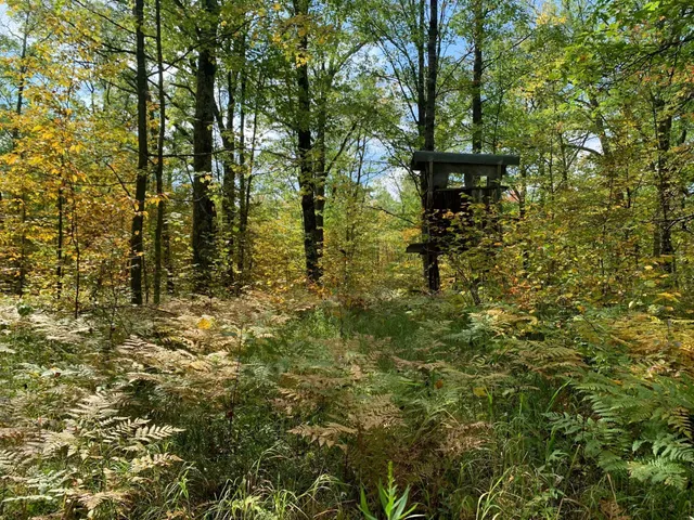 $453,200 | 14331 395th Lane, McGregor, MN 55760