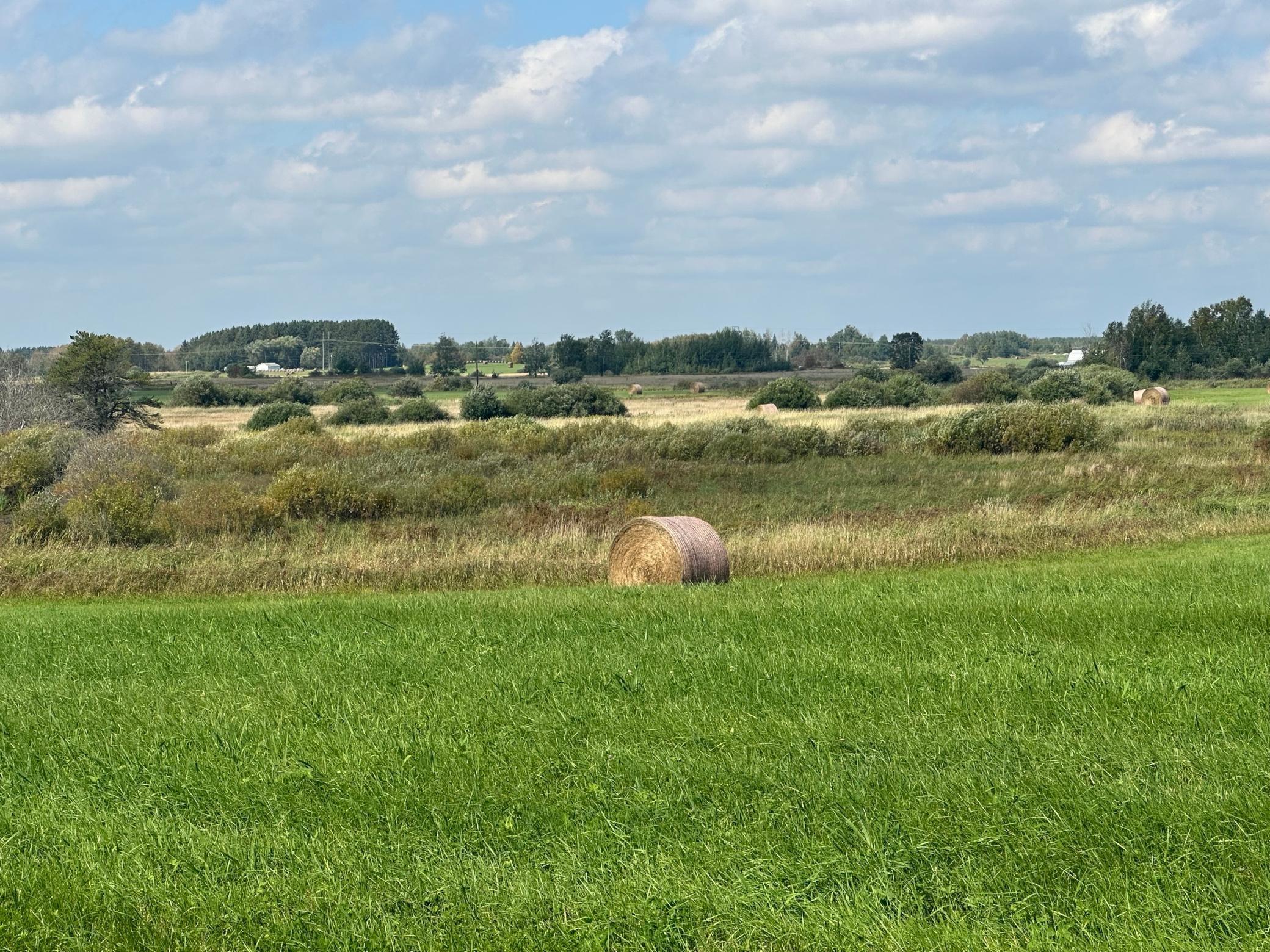 14331 395th Lane McGregor, MN 55760 - Photo 21 of 81