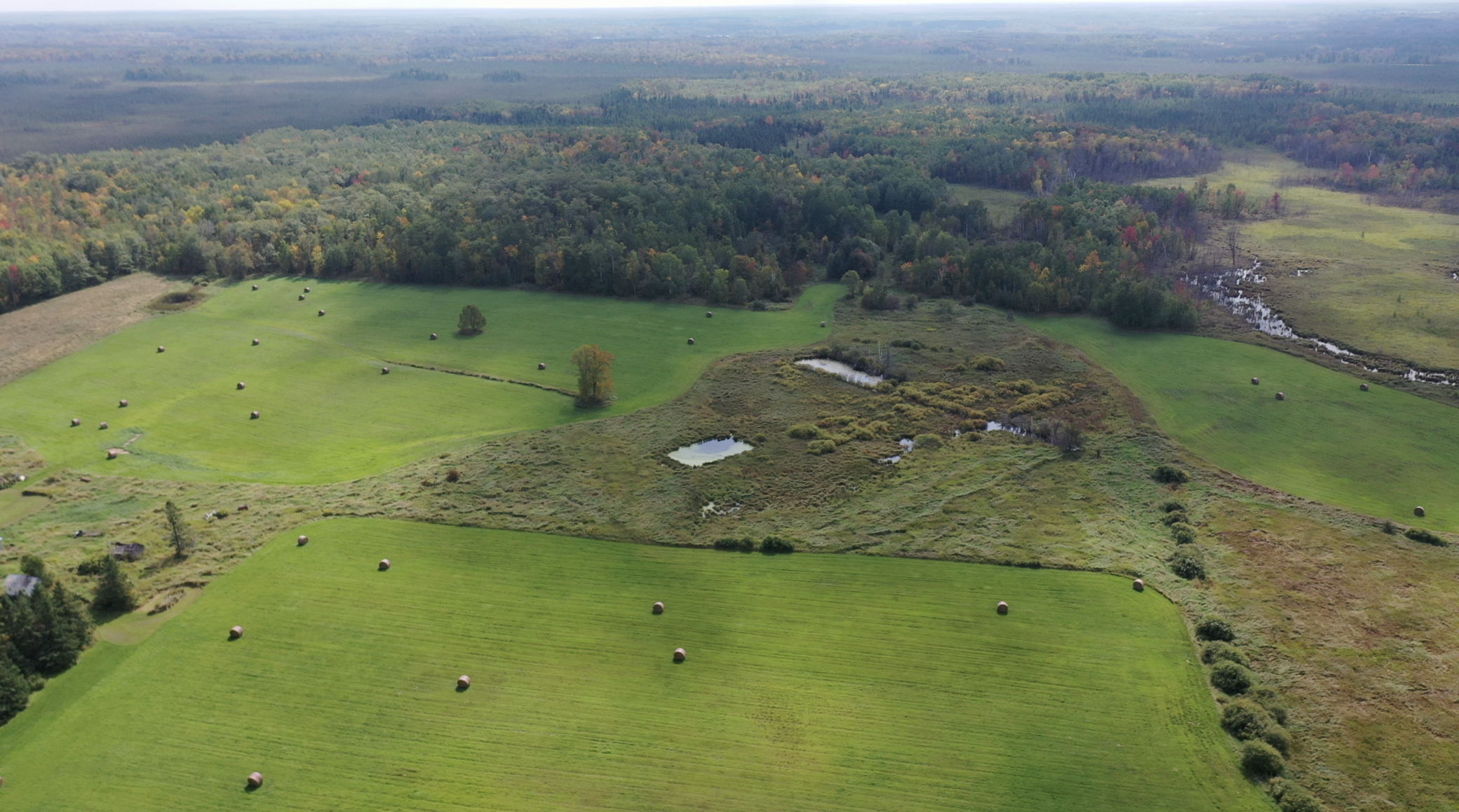 14331 395th Lane McGregor, MN 55760 - Photo 22 of 81