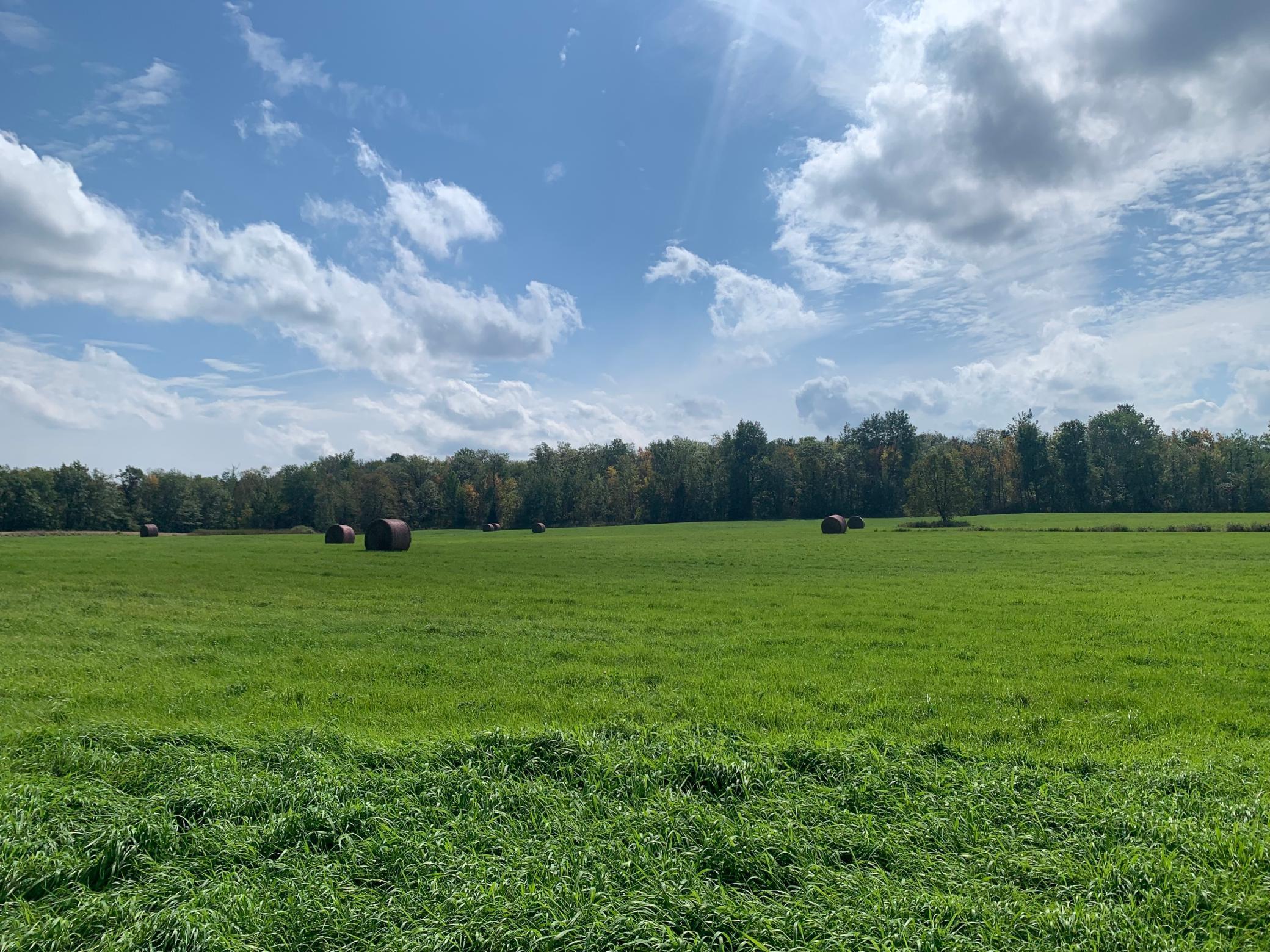 14331 395th Lane McGregor, MN 55760 - Photo 23 of 81