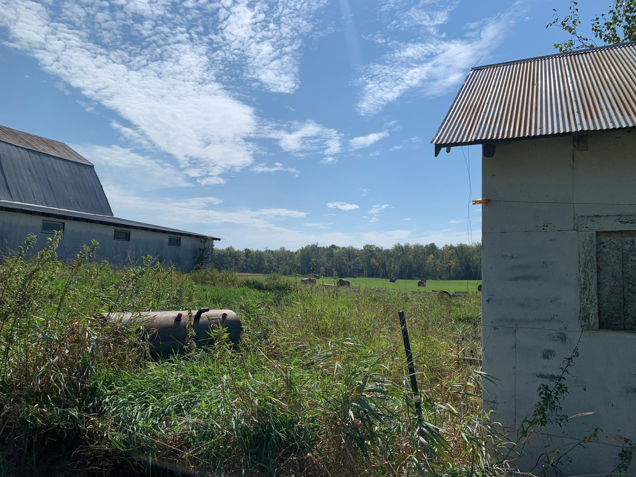 14331 395th Lane McGregor, MN 55760 - Photo 26 of 81