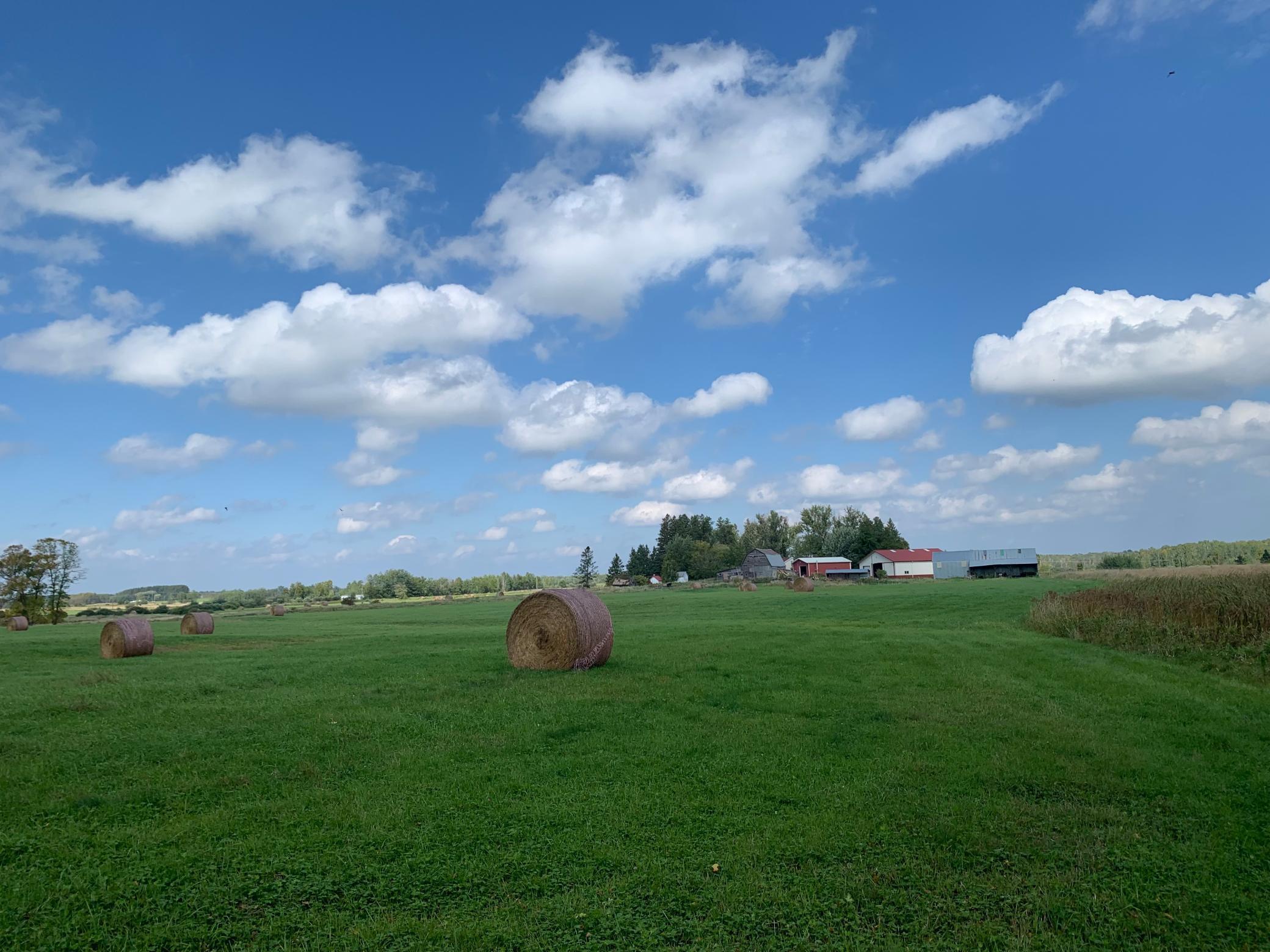 14331 395th Lane McGregor, MN 55760 - Photo 34 of 81