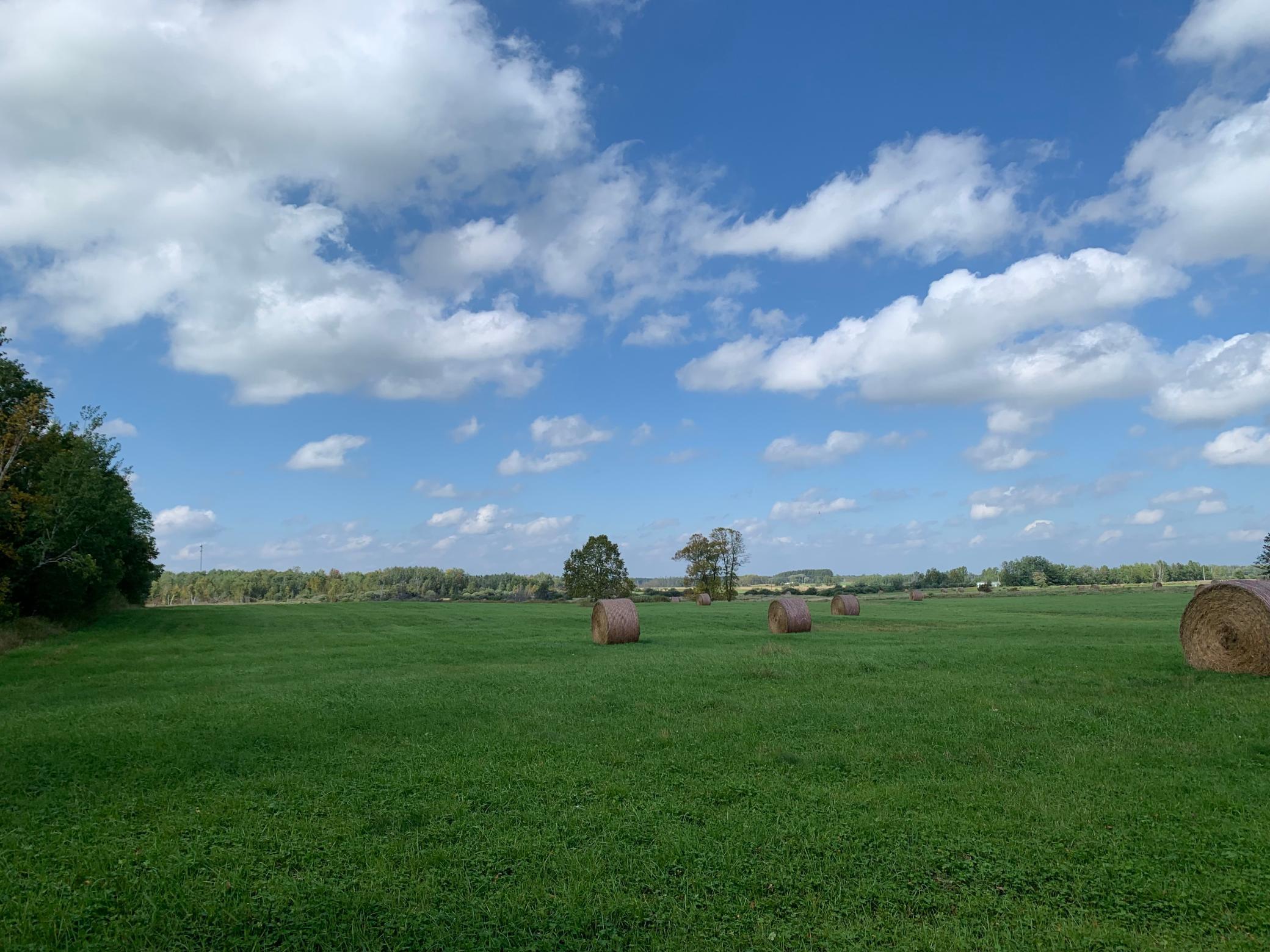 14331 395th Lane McGregor, MN 55760 - Photo 35 of 81