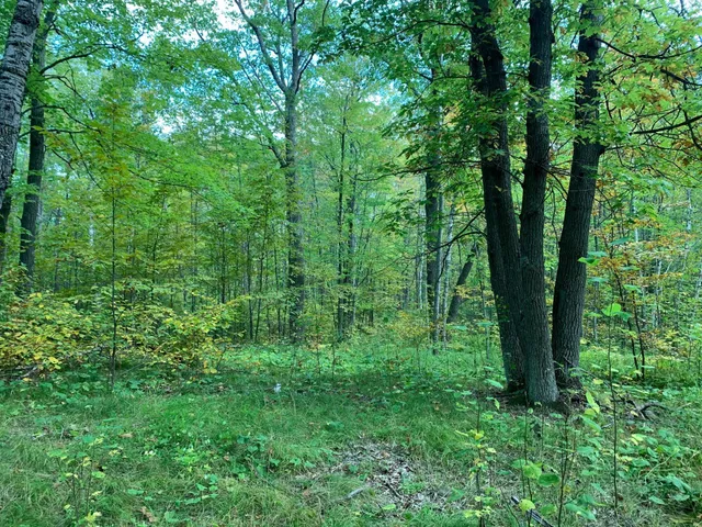 $453,200 | 14331 395th Lane, McGregor, MN 55760