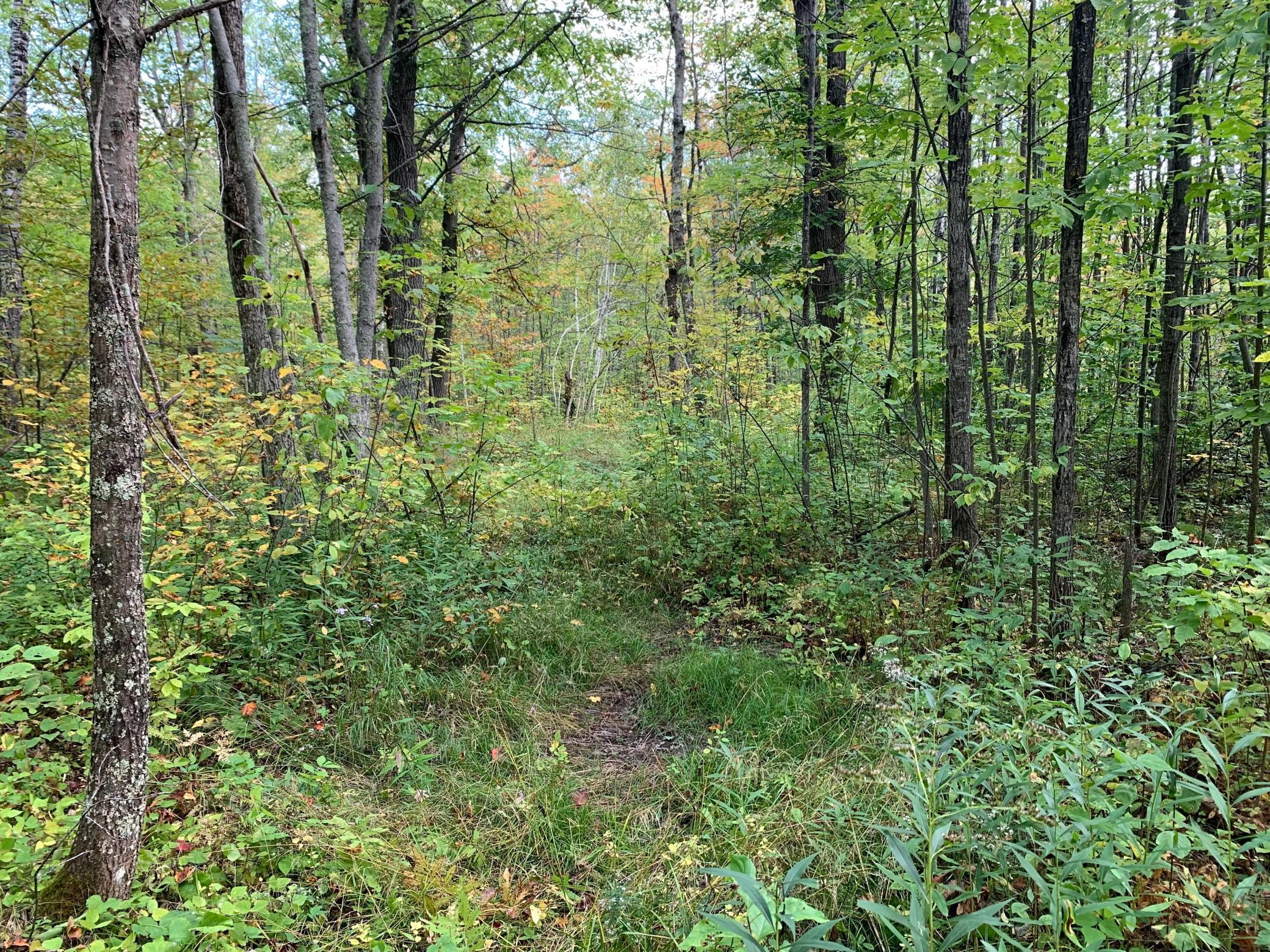 14331 395th Lane McGregor, MN 55760 - Photo 37 of 81