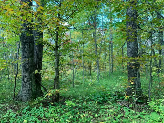 $453,200 | 14331 395th Lane, McGregor, MN 55760