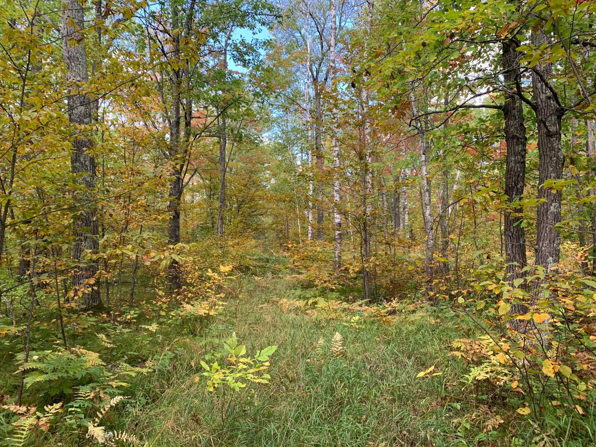 14331 395th Lane McGregor, MN 55760 - Photo 39 of 81