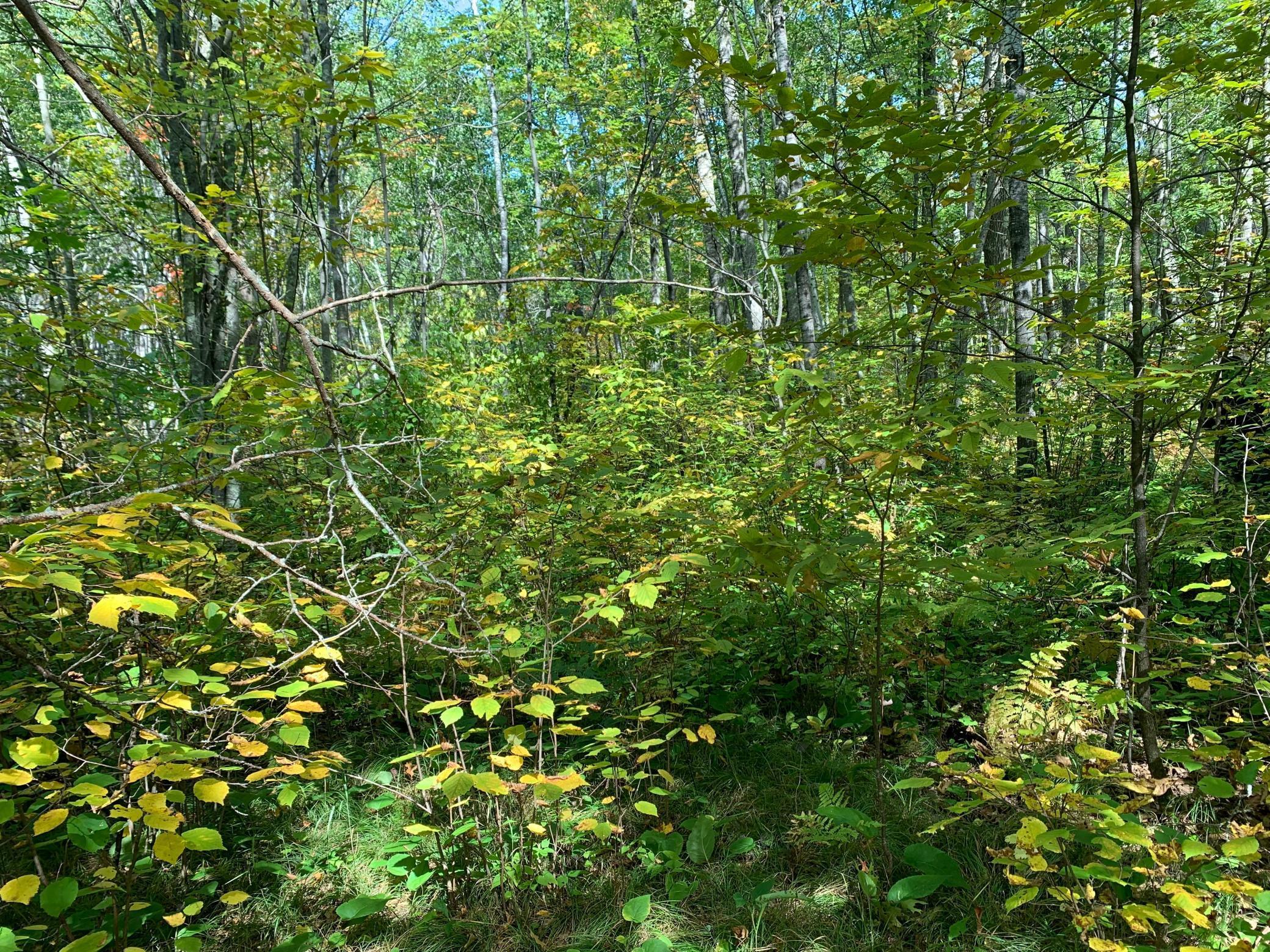 14331 395th Lane McGregor, MN 55760 - Photo 41 of 81