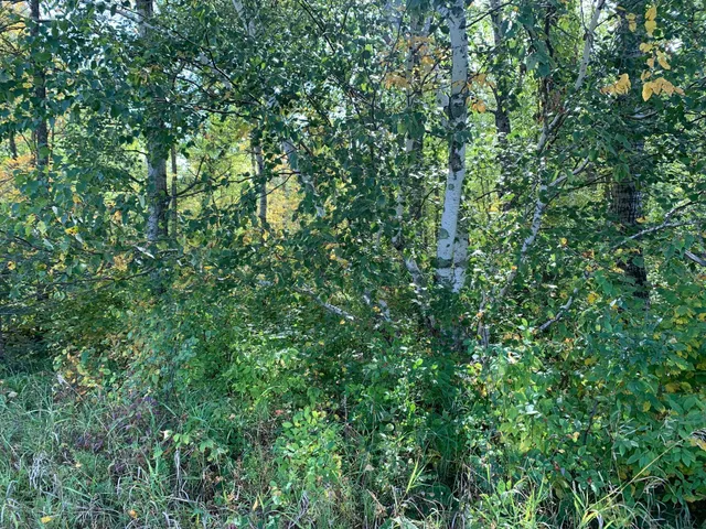 $453,200 | 14331 395th Lane, McGregor, MN 55760