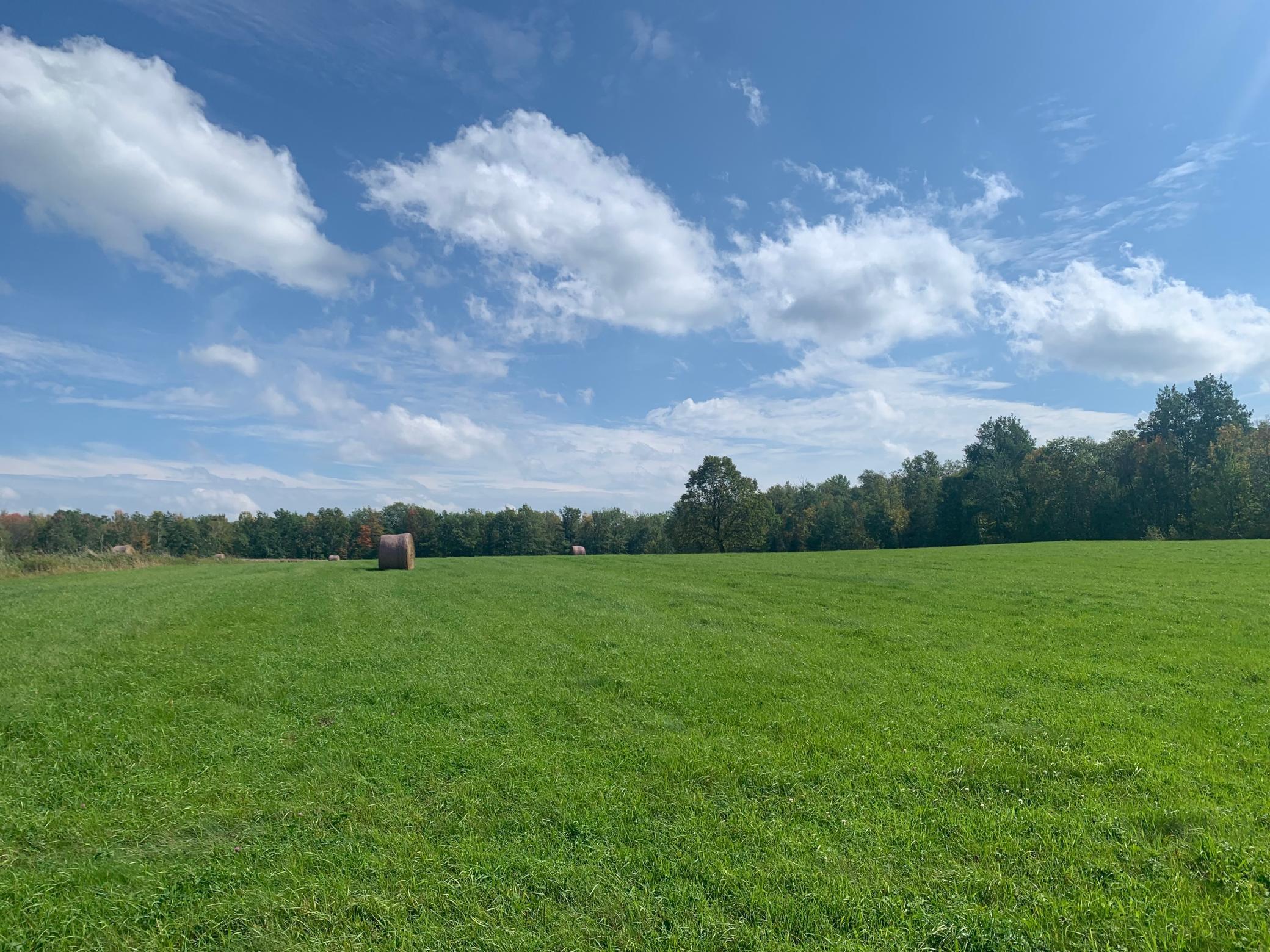 14331 395th Lane McGregor, MN 55760 - Photo 43 of 81