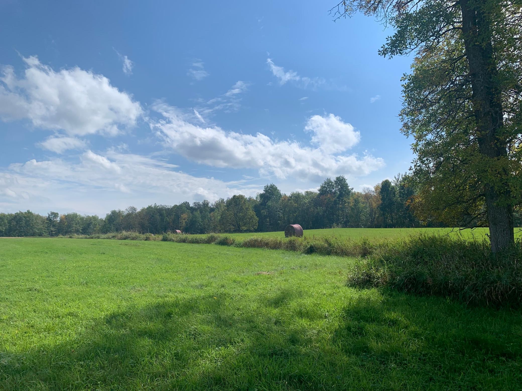 14331 395th Lane McGregor, MN 55760 - Photo 44 of 81