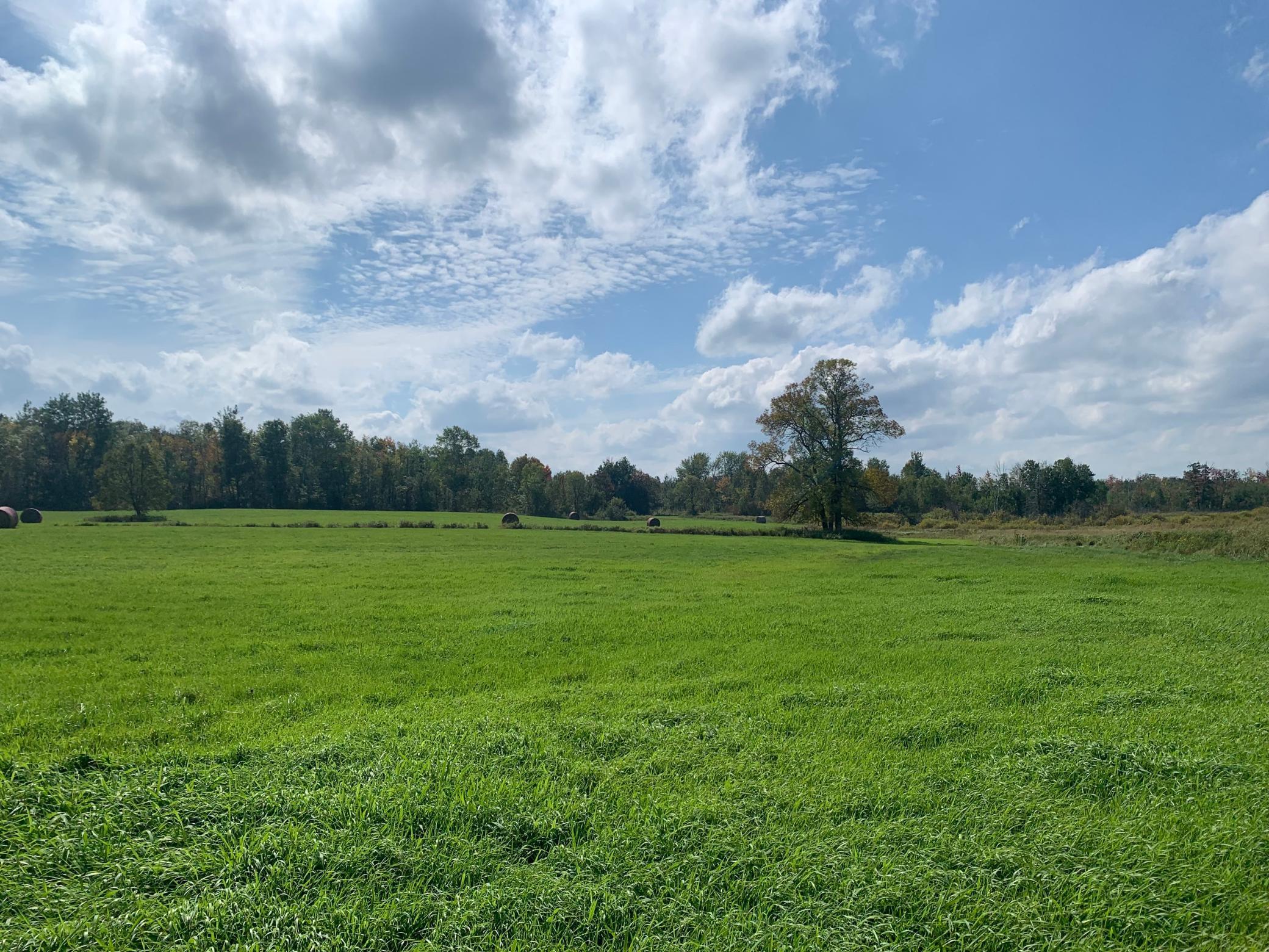 14331 395th Lane McGregor, MN 55760 - Photo 45 of 81