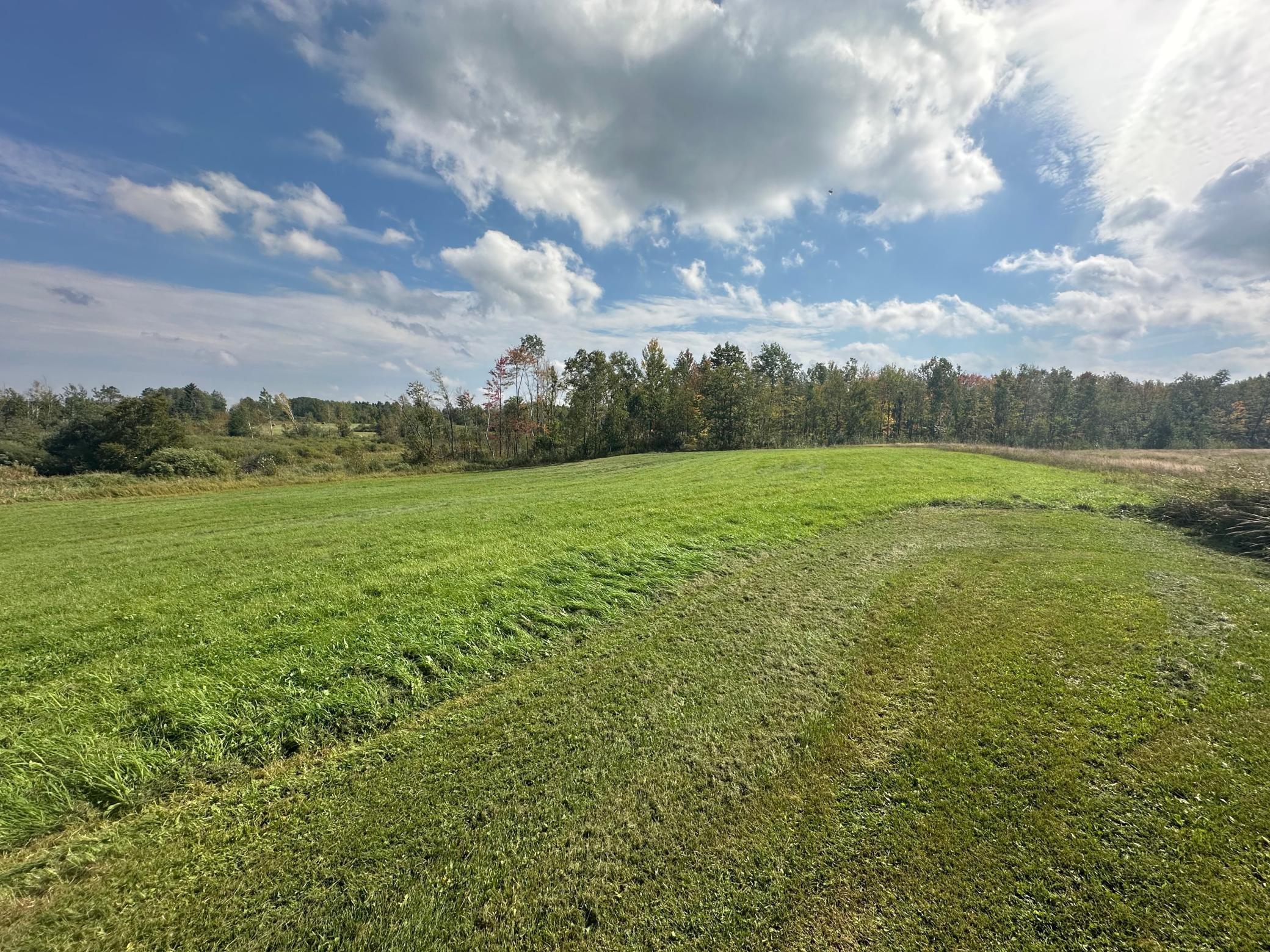 14331 395th Lane McGregor, MN 55760 - Photo 48 of 81