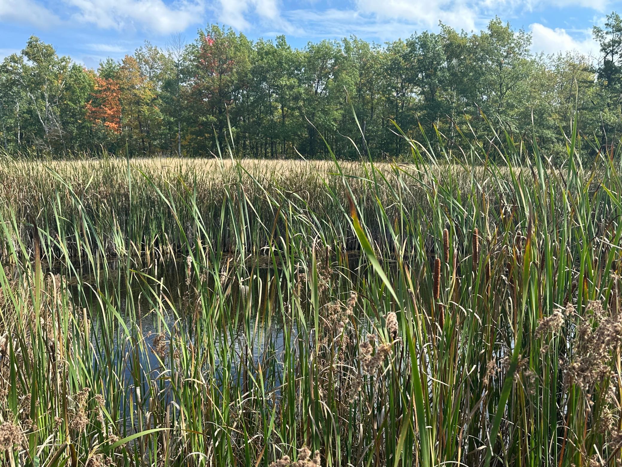 14331 395th Lane McGregor, MN 55760 - Photo 52 of 81