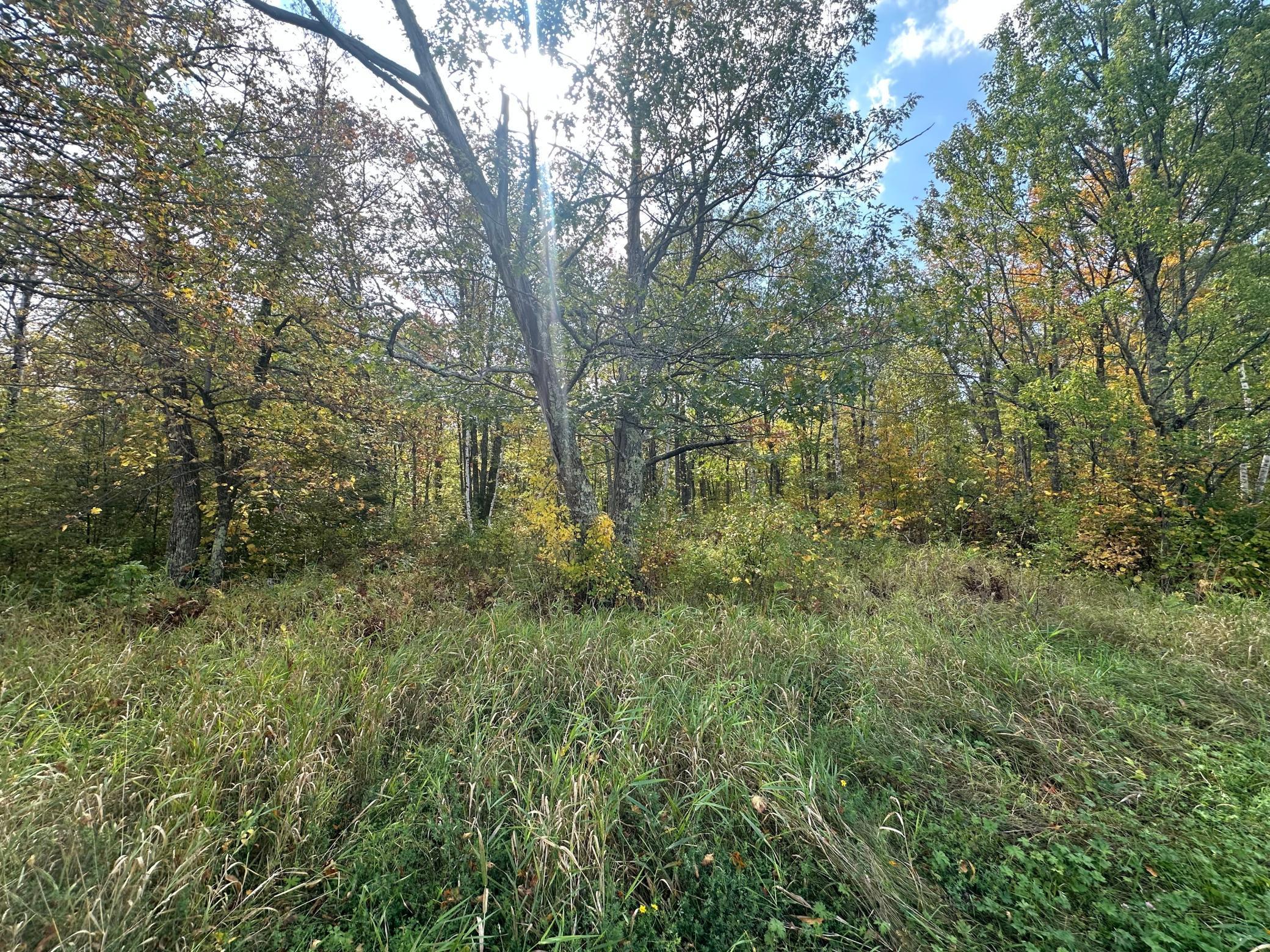 14331 395th Lane McGregor, MN 55760 - Photo 53 of 81
