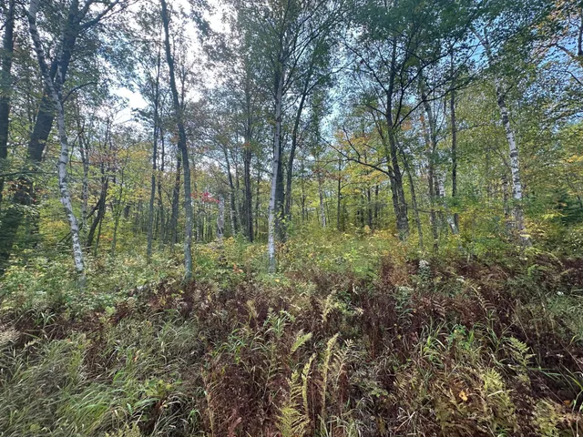 $453,200 | 14331 395th Lane, McGregor, MN 55760