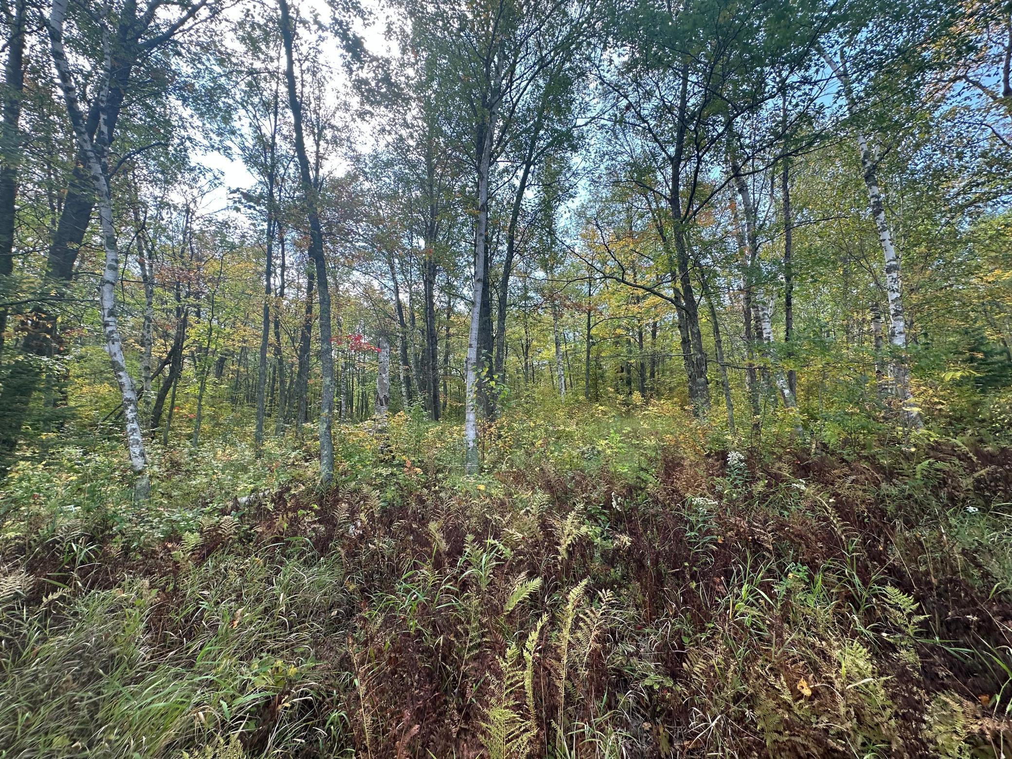 14331 395th Lane McGregor, MN 55760 - Photo 54 of 81