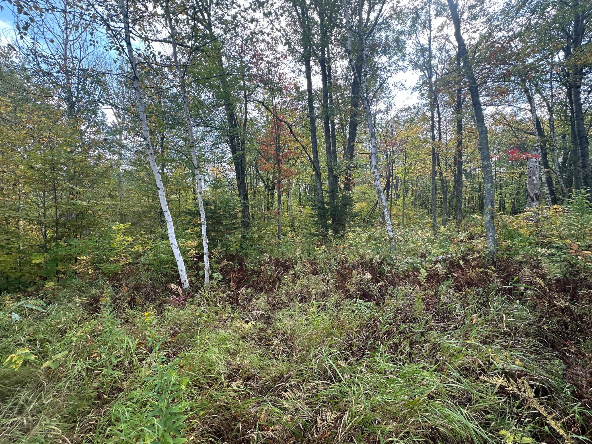 14331 395th Lane McGregor, MN 55760 - Photo 55 of 81