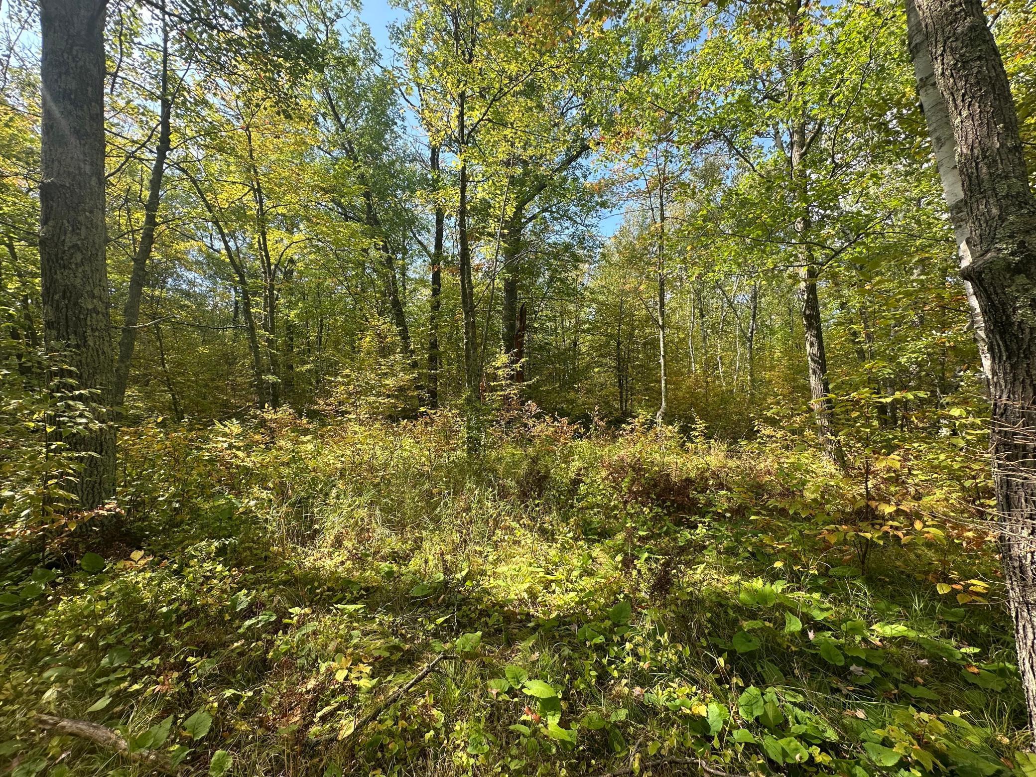 14331 395th Lane McGregor, MN 55760 - Photo 56 of 81