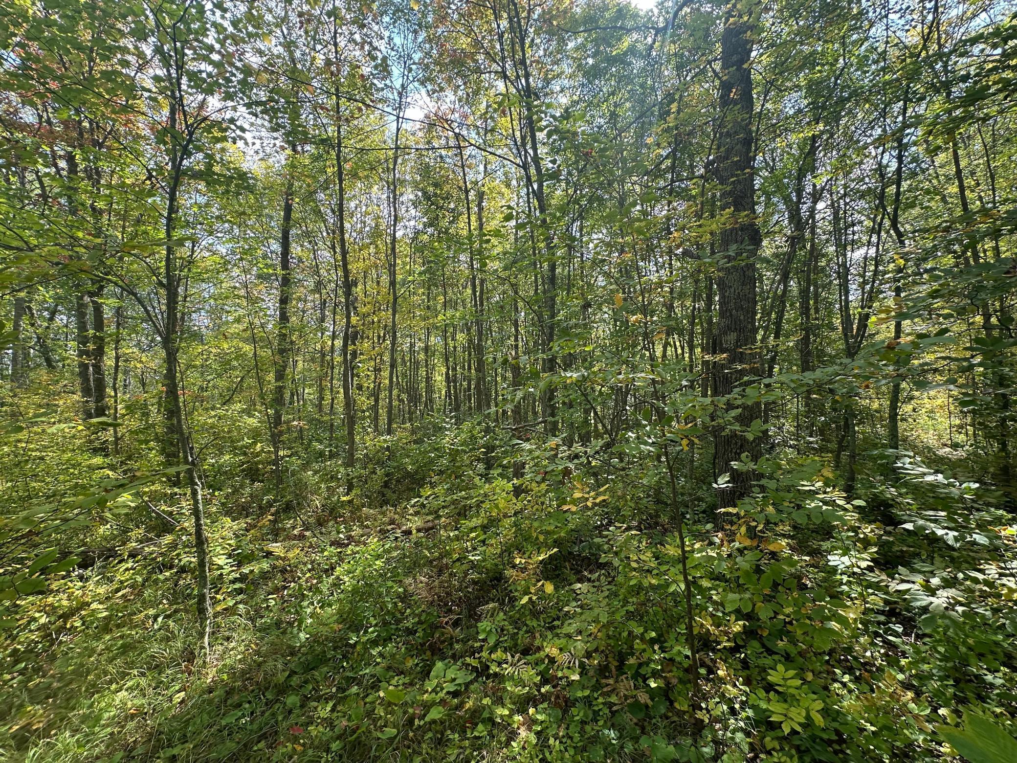 14331 395th Lane McGregor, MN 55760 - Photo 57 of 81