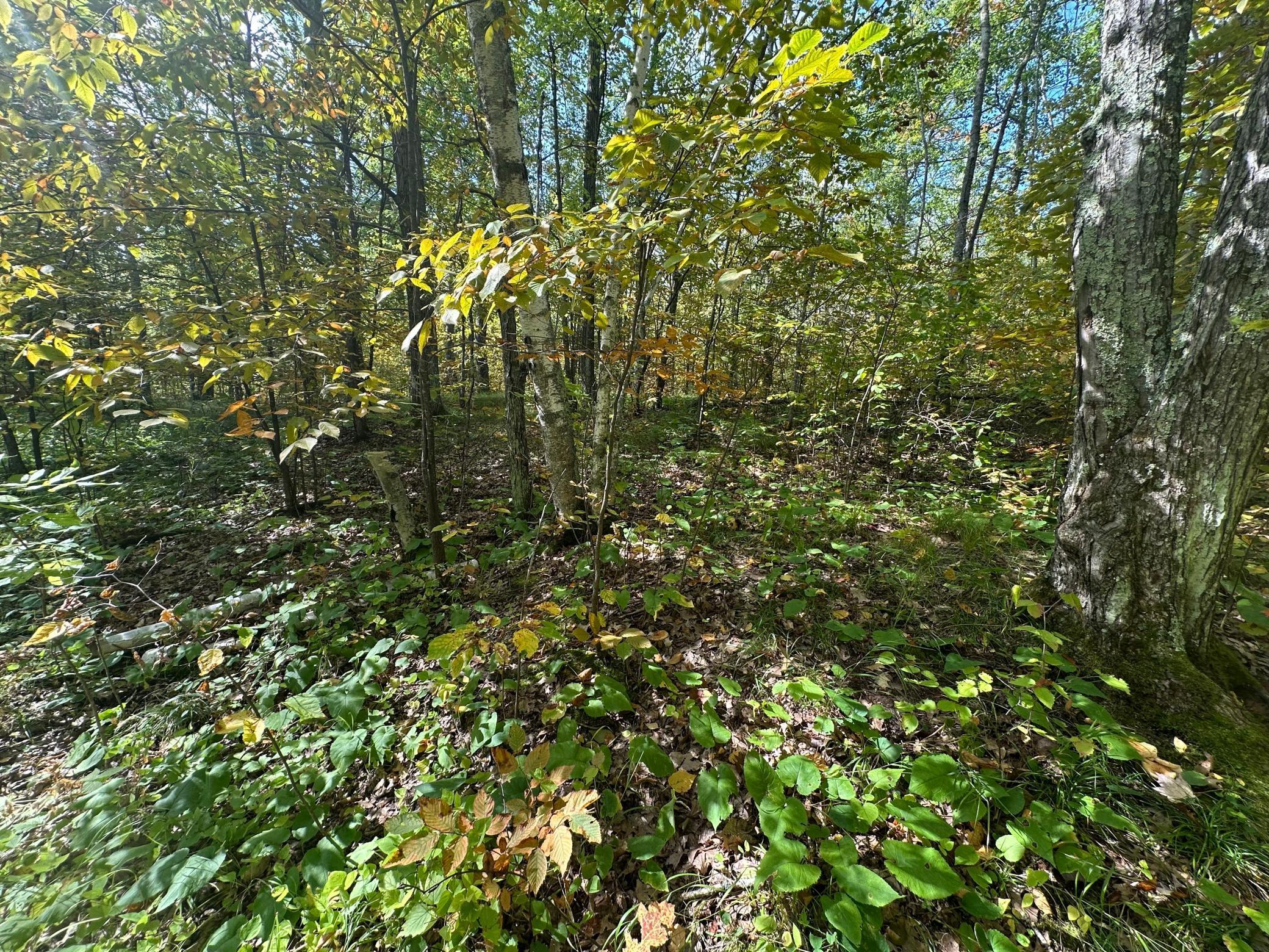 14331 395th Lane McGregor, MN 55760 - Photo 59 of 81