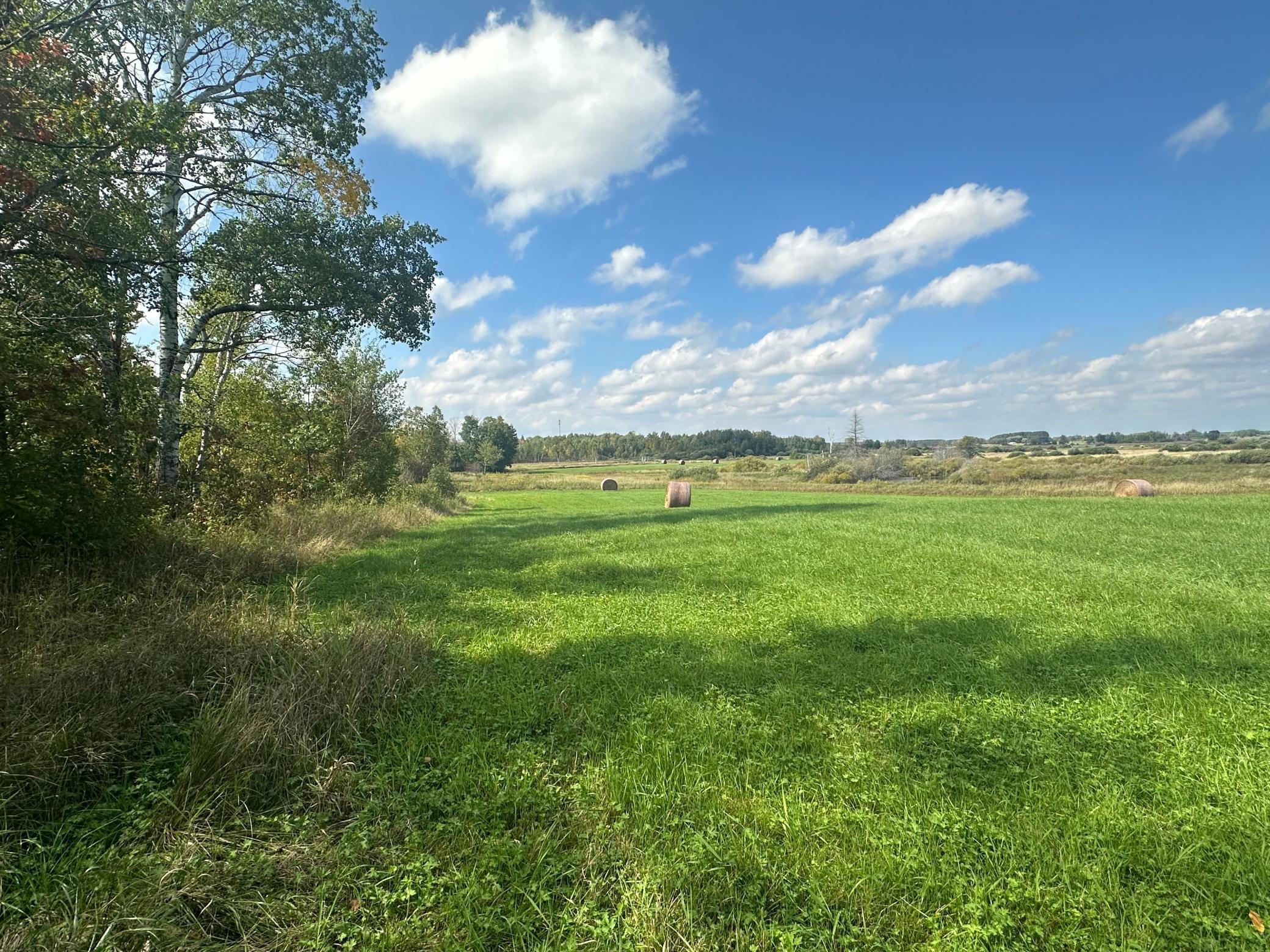 14331 395th Lane McGregor, MN 55760 - Photo 61 of 81