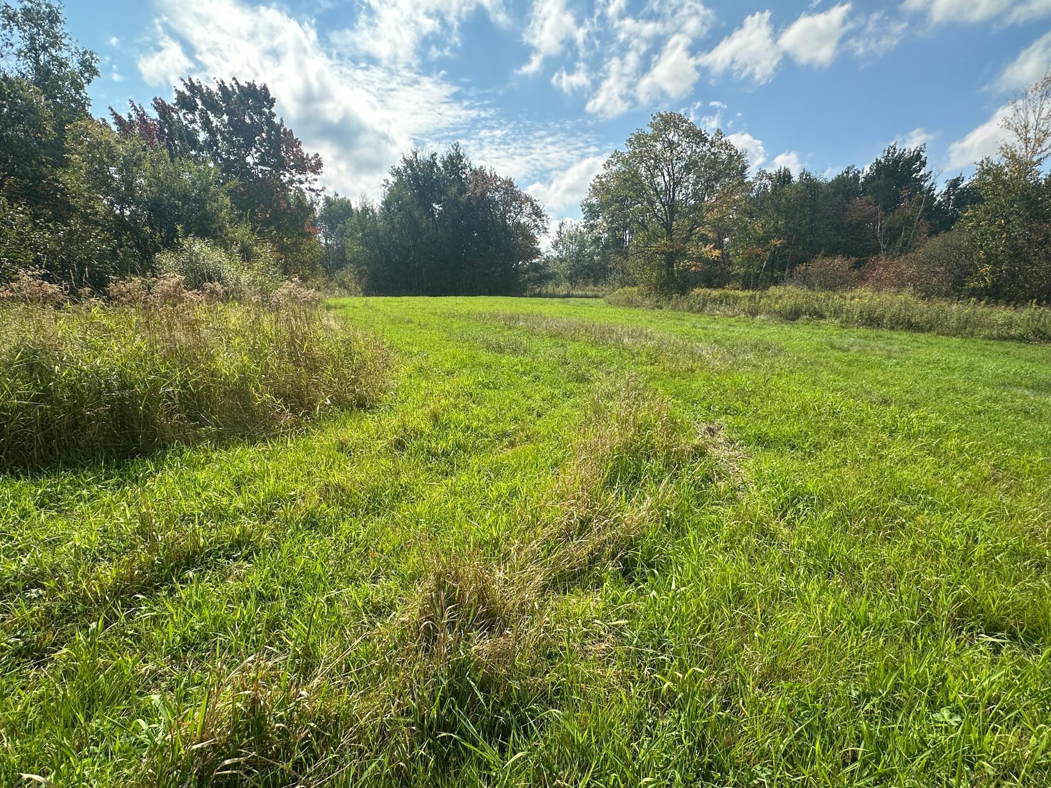 14331 395th Lane McGregor, MN 55760 - Photo 65 of 81