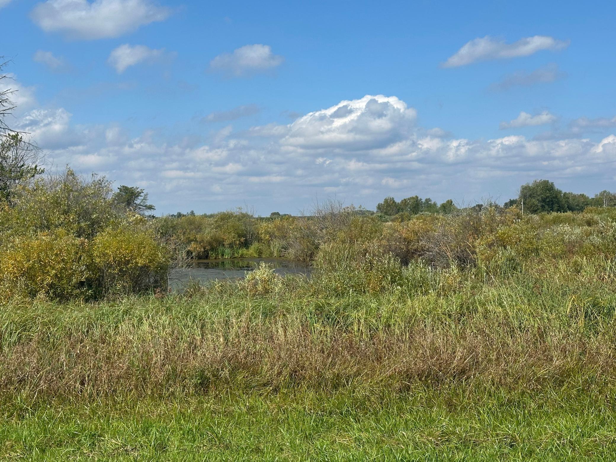 14331 395th Lane McGregor, MN 55760 - Photo 66 of 81